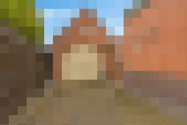 Gedempte Ceresdiep 6 Musselkanaal thumbnail 23