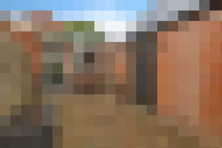 Gedempte Ceresdiep 6 Musselkanaal thumbnail 24