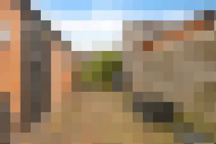 Gedempte Ceresdiep 6 Musselkanaal thumbnail 25