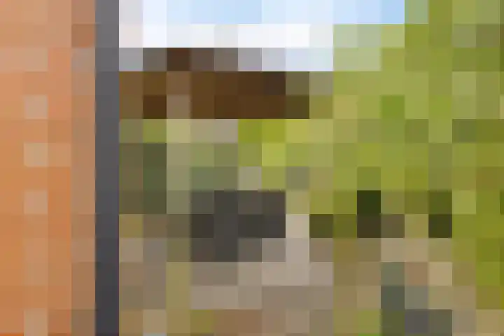 Gedempte Ceresdiep 6 Musselkanaal thumbnail 26