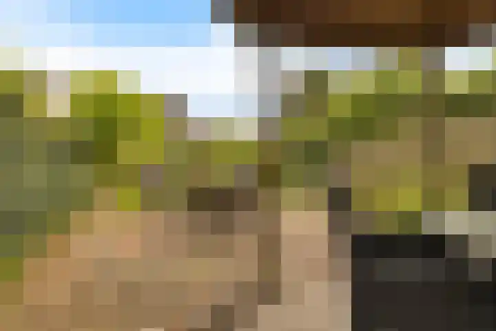 Gedempte Ceresdiep 6 Musselkanaal thumbnail 27
