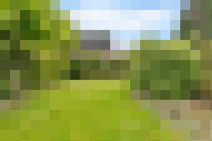 Gedempte Ceresdiep 6 Musselkanaal thumbnail 28