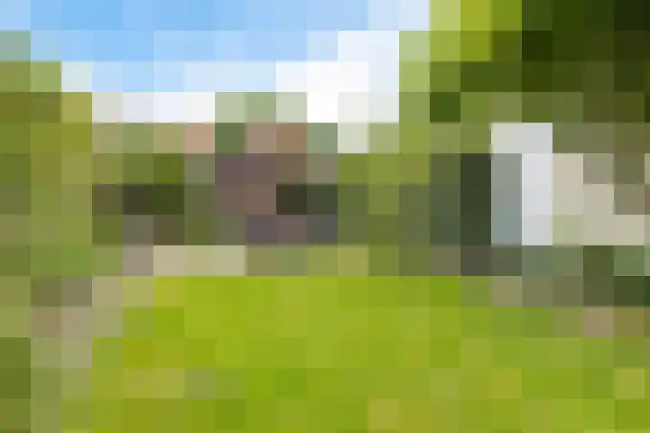 Gedempte Ceresdiep 6 Musselkanaal thumbnail 29