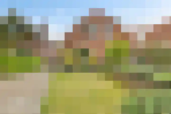 Gedempte Ceresdiep 6 Musselkanaal thumbnail 4