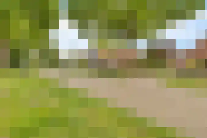 Gedempte Ceresdiep 6 Musselkanaal thumbnail 5