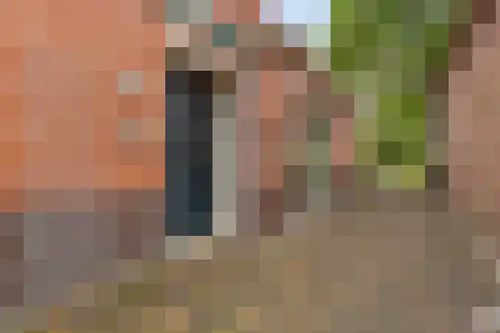Gedempte Ceresdiep 6 Musselkanaal thumbnail 6