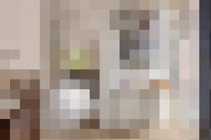 Gedempte Ceresdiep 6 Musselkanaal thumbnail 9