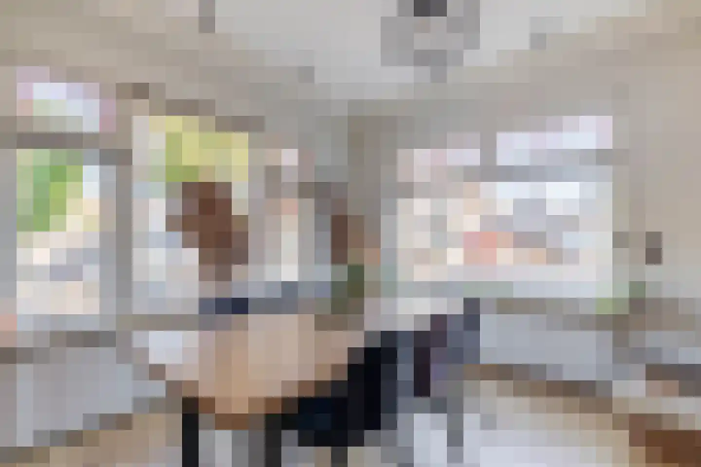 Gedempte Gracht 1 Lemmer thumbnail 13