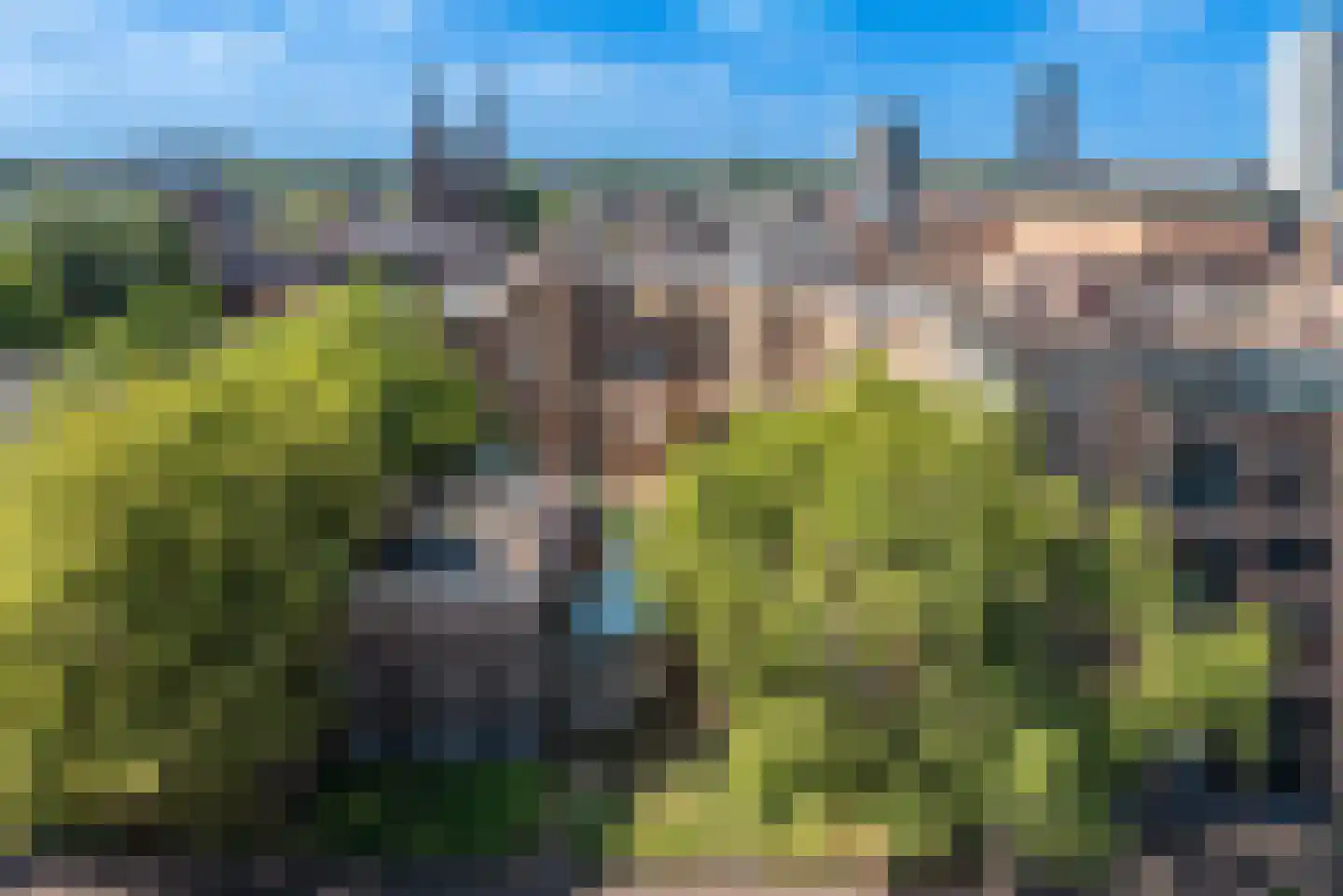 Gedempte Gracht 17 Eindhoven thumbnail 6