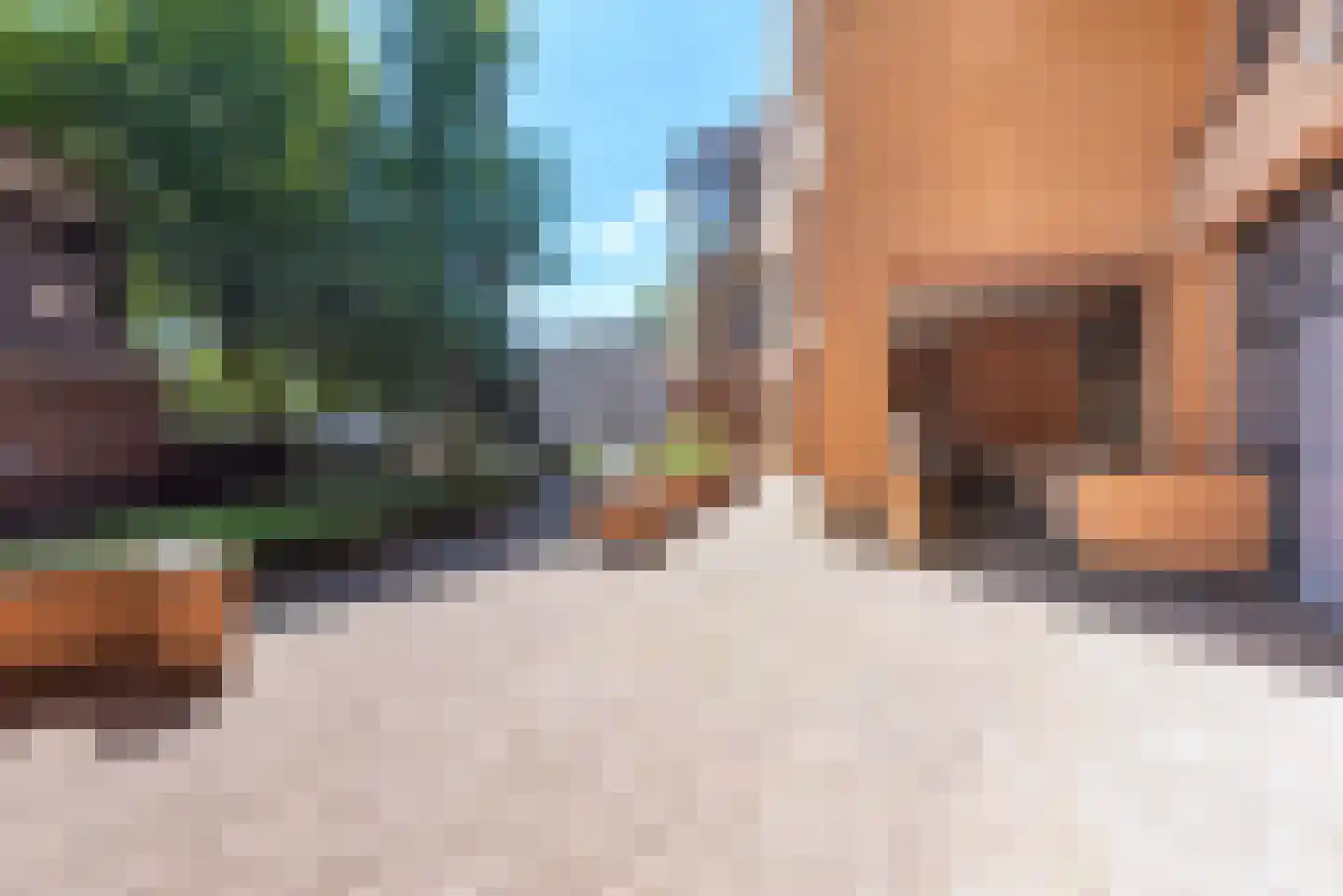 Gedempte Gracht 17 Eindhoven thumbnail 8