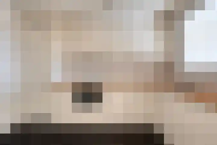 Gedempte Gracht 35 Eindhoven thumbnail 14