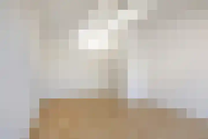 Gedempte Gracht 35 Eindhoven thumbnail 19