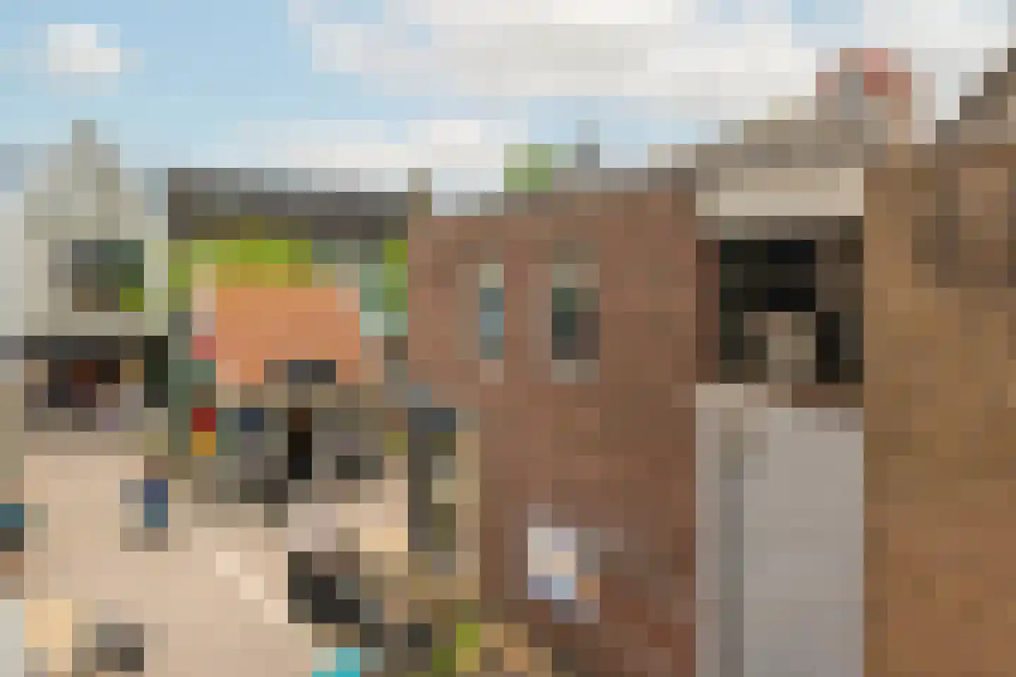 Gedempte Gracht 44 A 3 Zaandam thumbnail 20