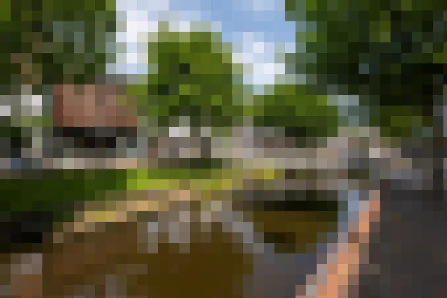 Gedempte Gracht 44 A 3 Zaandam thumbnail 25
