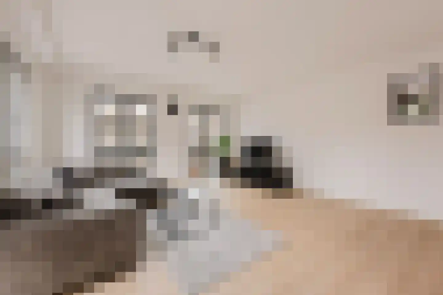 Gedempte Gracht 44 A 3 Zaandam thumbnail 4