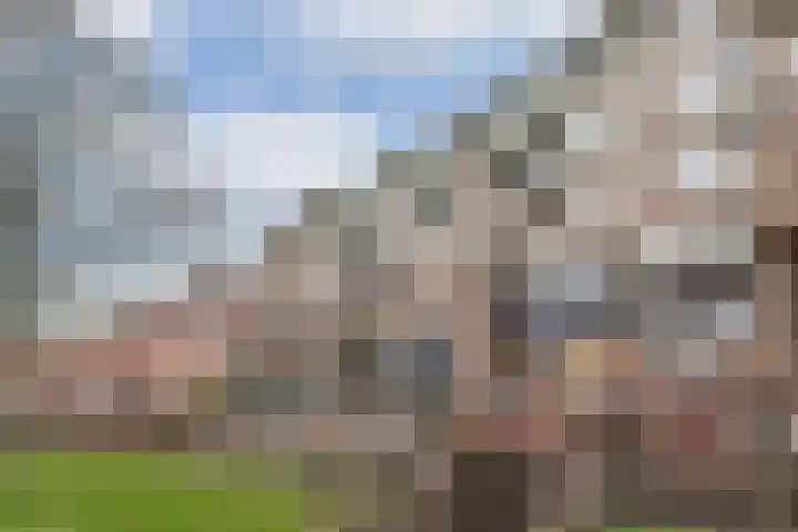 Gedempte Gracht 453 Den Haag thumbnail 11