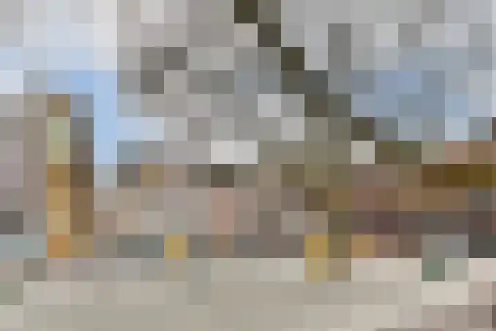 Gedempte Gracht 453 Den Haag thumbnail 24