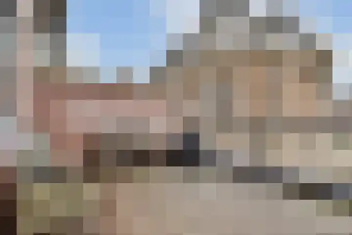 Gedempte Gracht 453 Den Haag thumbnail 6
