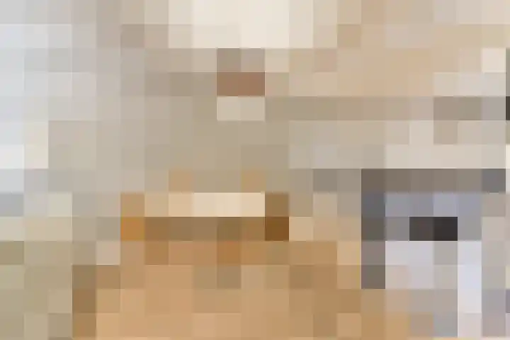 Gedempte Gracht 453 Den Haag thumbnail 8
