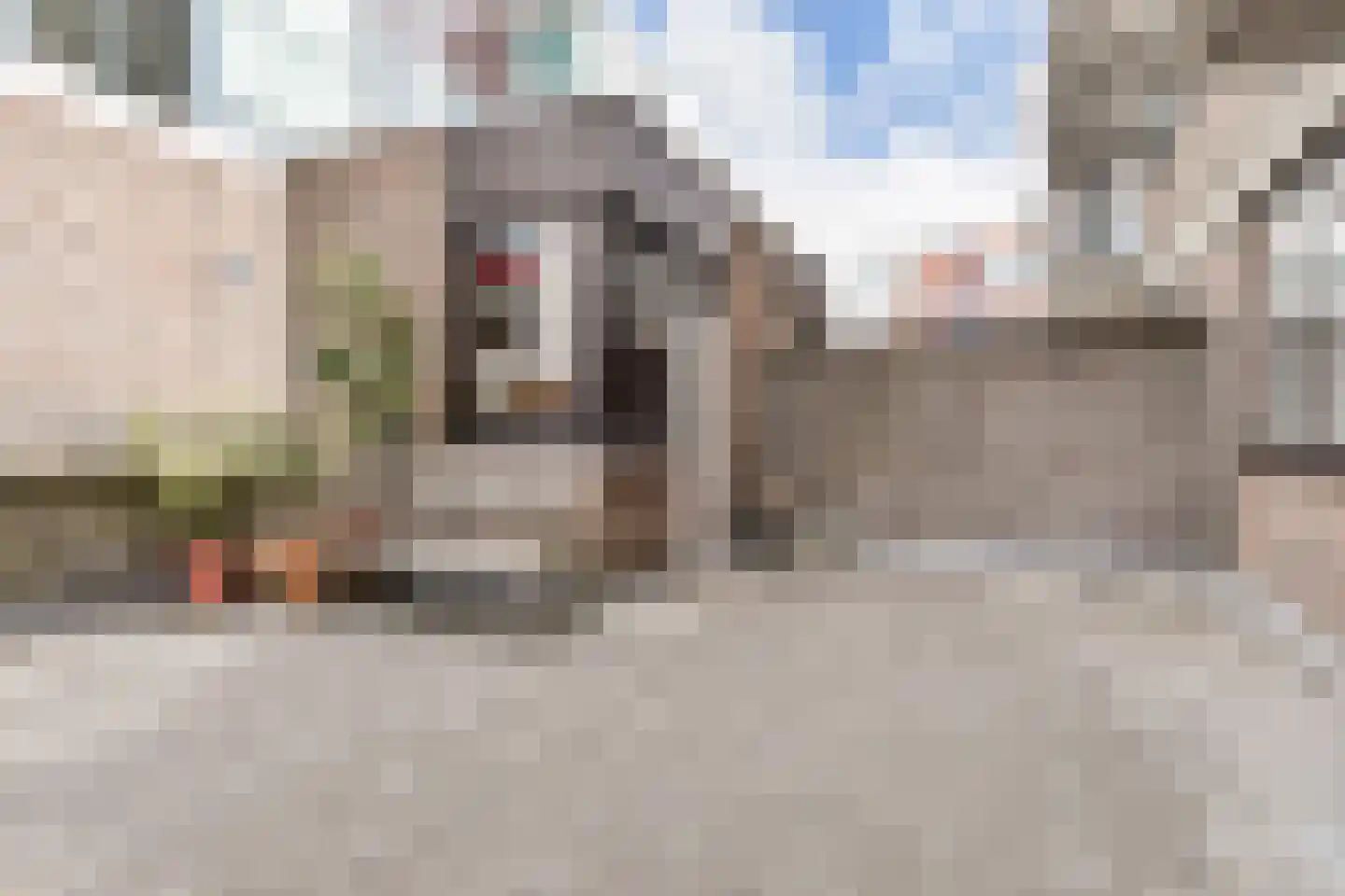 Gedempte Gracht 467 Den Haag thumbnail 28