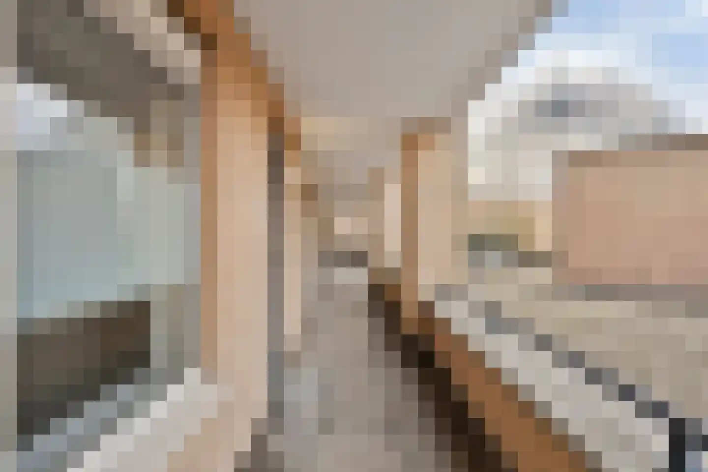 Gedempte Gracht 53 Eindhoven thumbnail 10