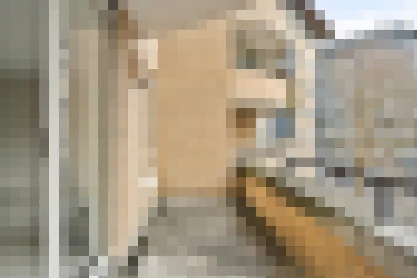 Gedempte Gracht 53 Eindhoven thumbnail 20