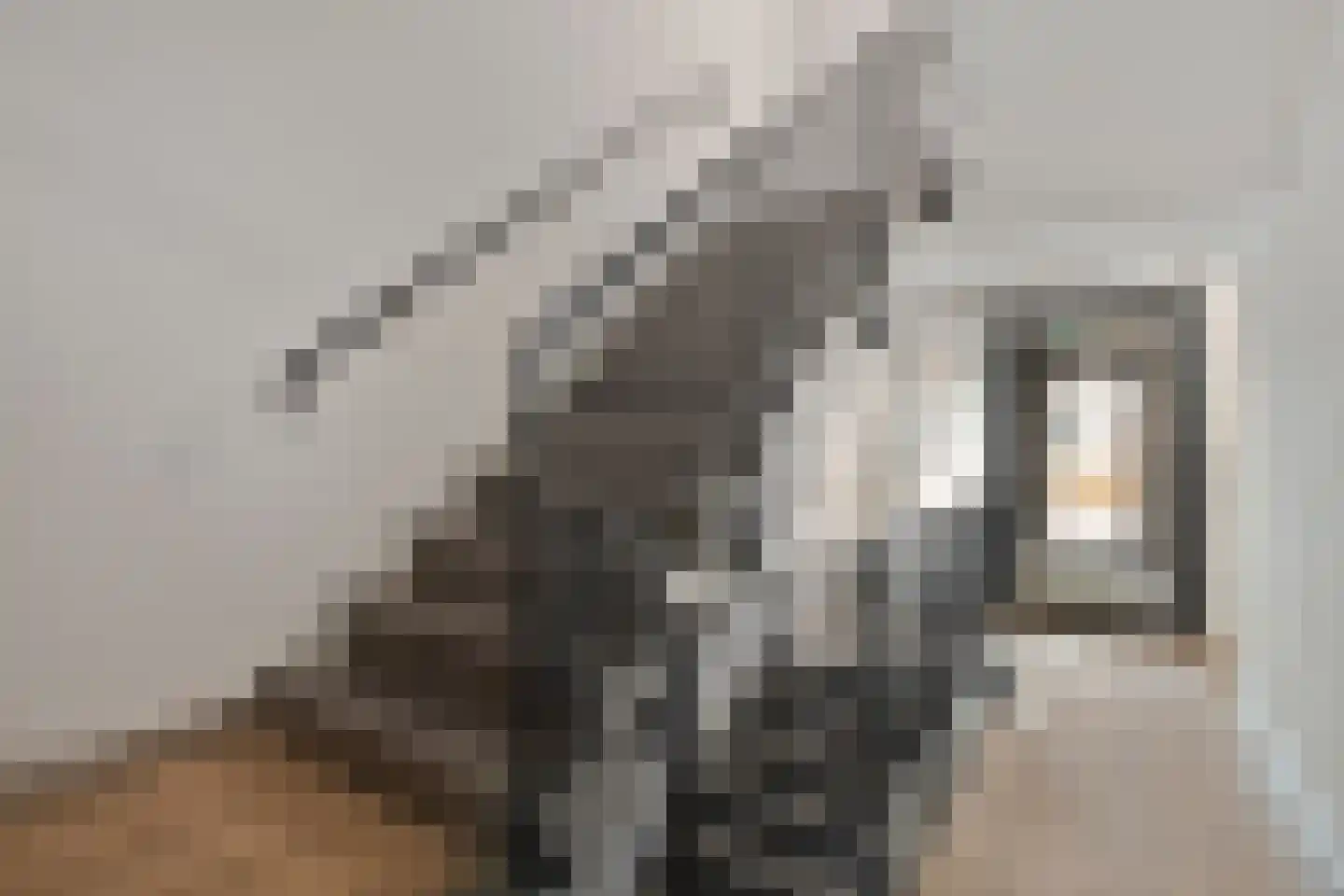 Gedempte Gracht 53 Eindhoven thumbnail 9