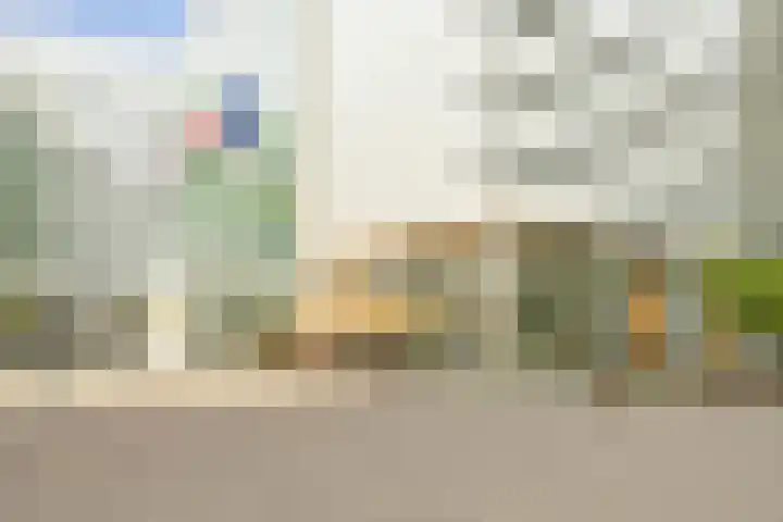 Gedempte Gracht 535 Den Haag thumbnail 24