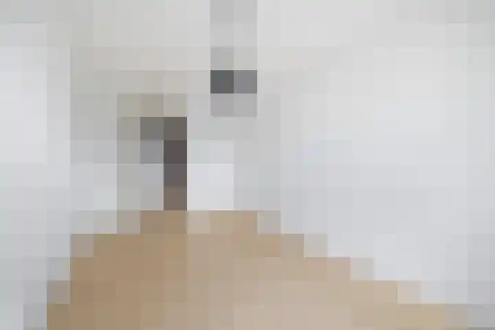 Gedempte Gracht 555 Den Haag thumbnail 17