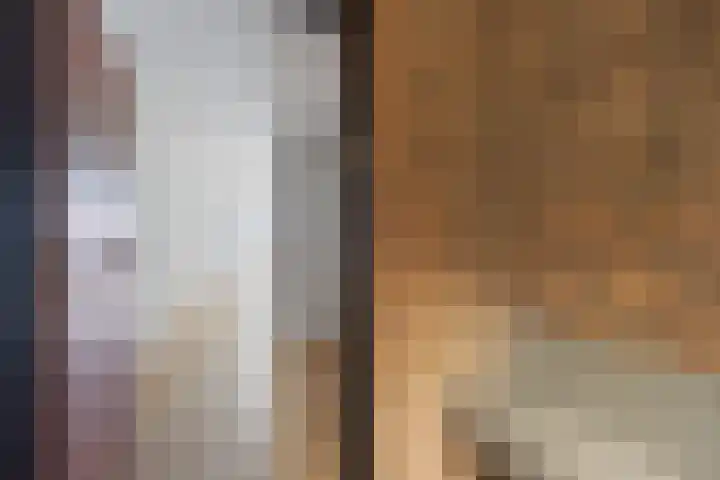 Gedempte Gracht 555 Den Haag thumbnail 6