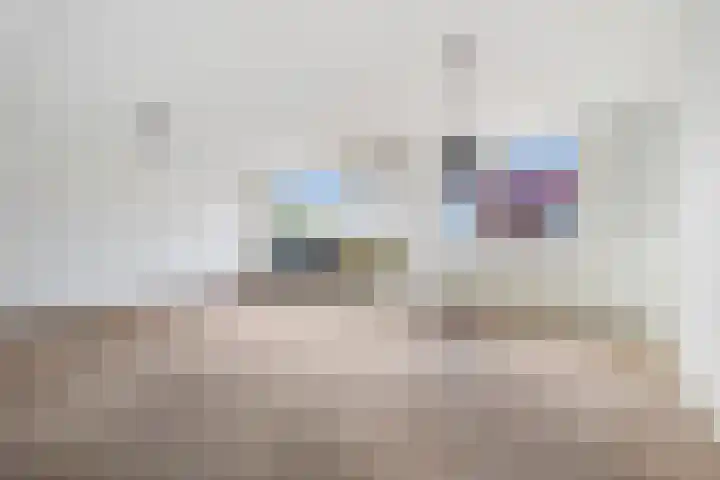 Gedempte Gracht 555 Den Haag thumbnail 8
