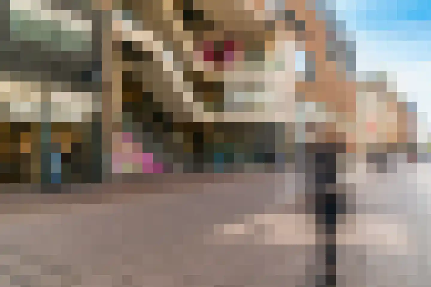 Gedempte Gracht 573 Den Haag thumbnail 26