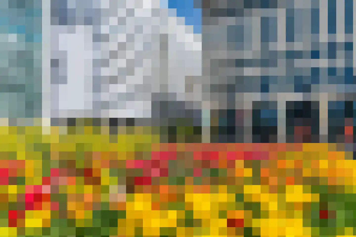 Gedempte Gracht 573 Den Haag thumbnail 29