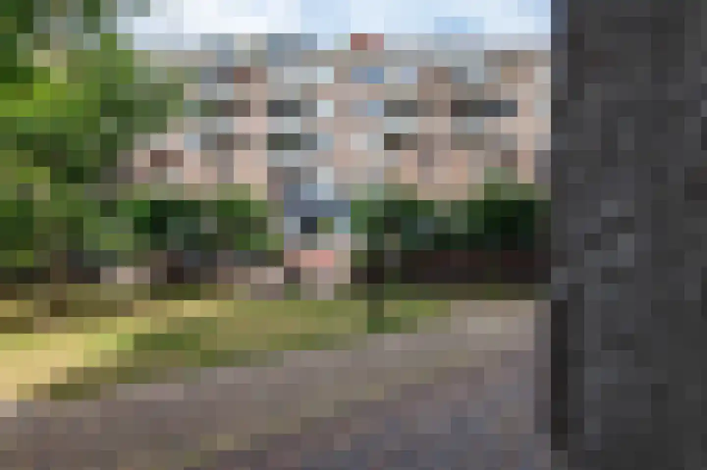 Gedempte Gracht 573 Den Haag thumbnail 34