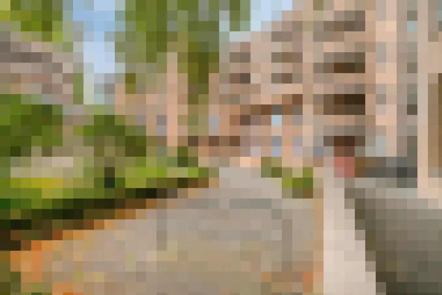Gedempte Gracht 67 Eindhoven thumbnail 33