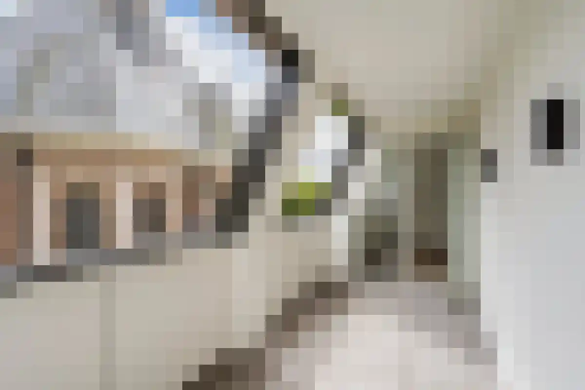 Gedempte Gracht 671 Den Haag thumbnail 5