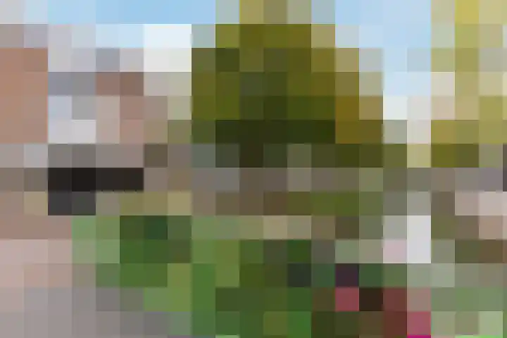 Gedempte Gracht 68 C Zaandam thumbnail 27