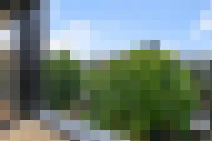 Gedempte Gracht 68 D Zaandam thumbnail 24