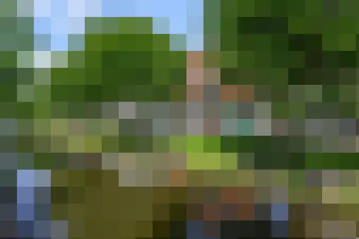 Gedempte Gracht 68 D Zaandam thumbnail 36