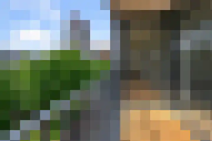 Gedempte Gracht 68 D Zaandam thumbnail 4