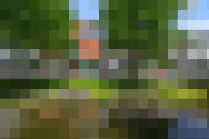Gedempte Gracht 68 D Zaandam thumbnail 5