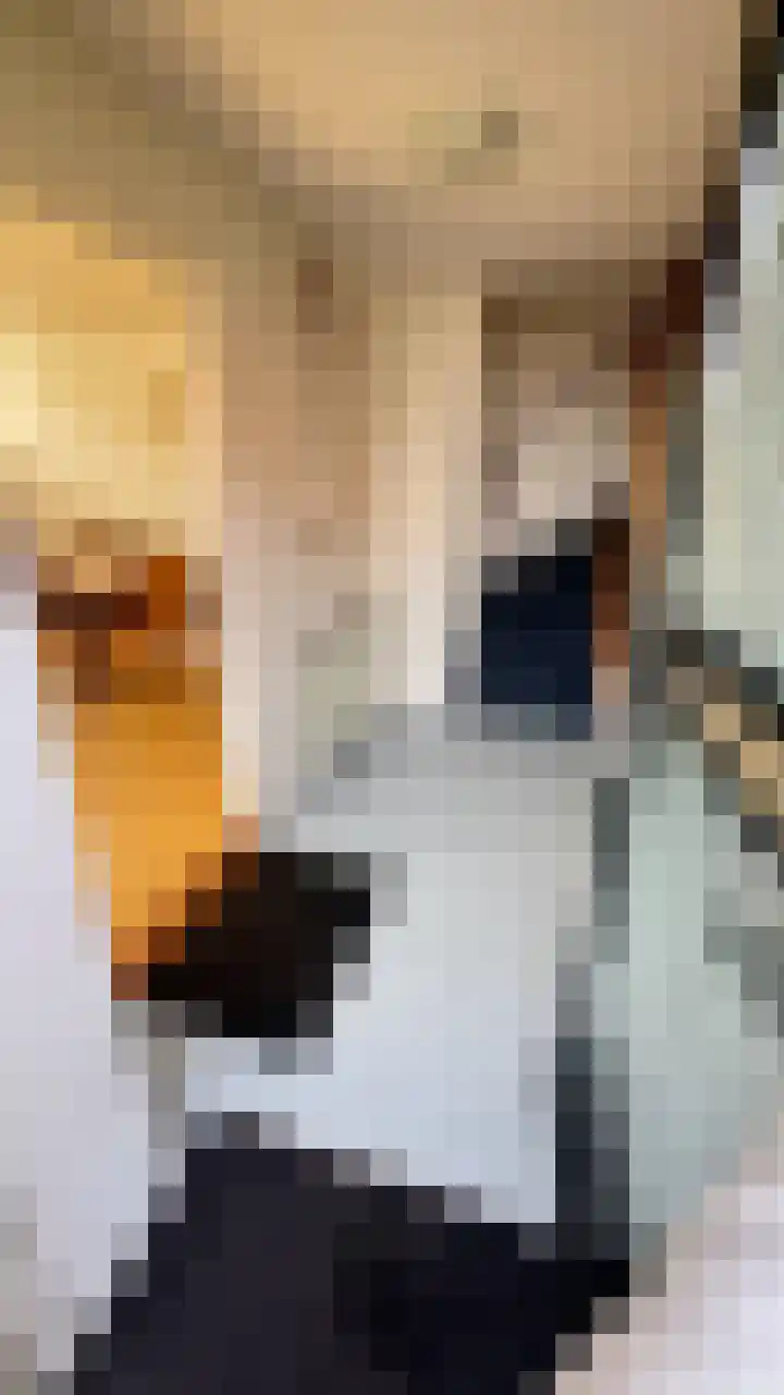 Gedempte Haven 15 Grou thumbnail 10