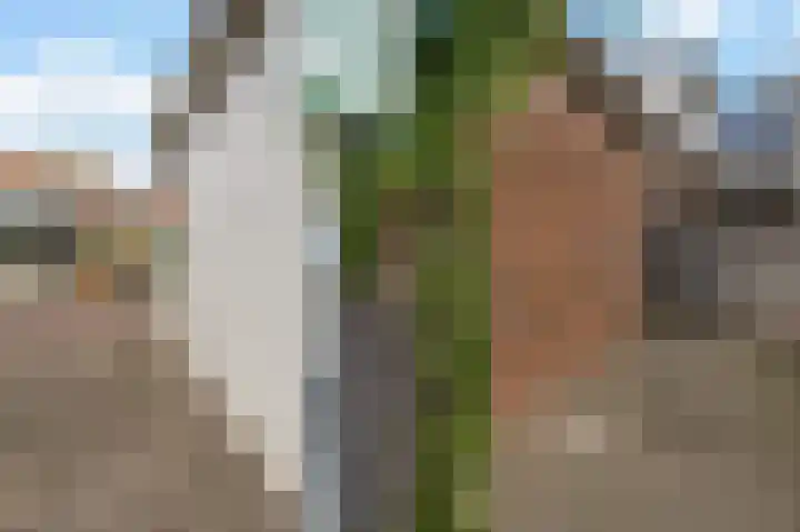 Gedempte Haven 18 Grou thumbnail 17