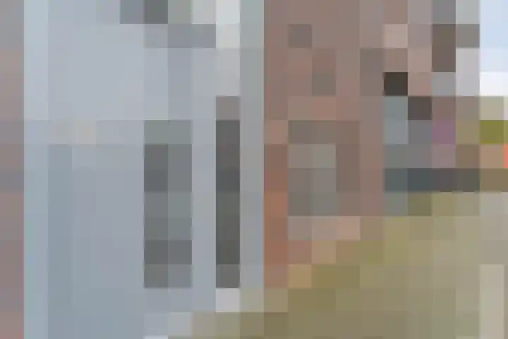 Gedempte Haven 43 Hardenberg thumbnail 10