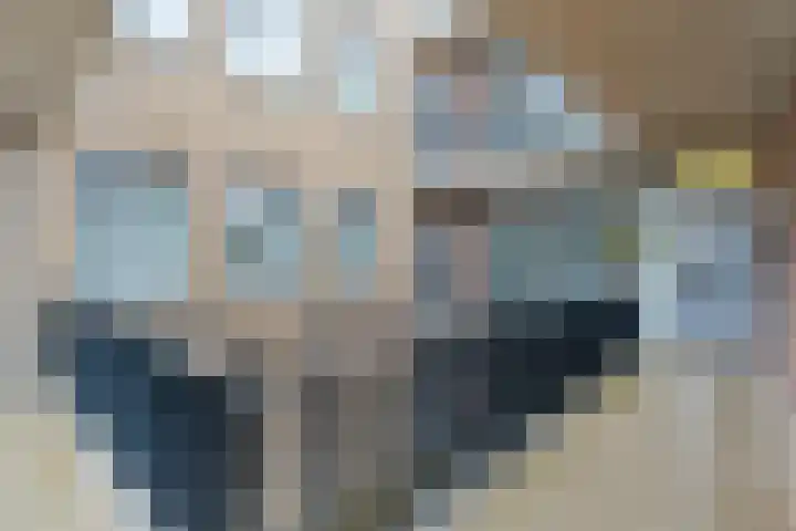 Gedempte Haven 43 Hardenberg thumbnail 12