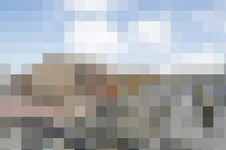Gedempte Haven 43 Hardenberg thumbnail 27