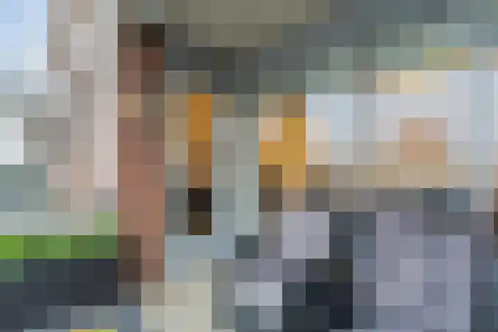 Gedempte Haven 43 Hardenberg thumbnail 28
