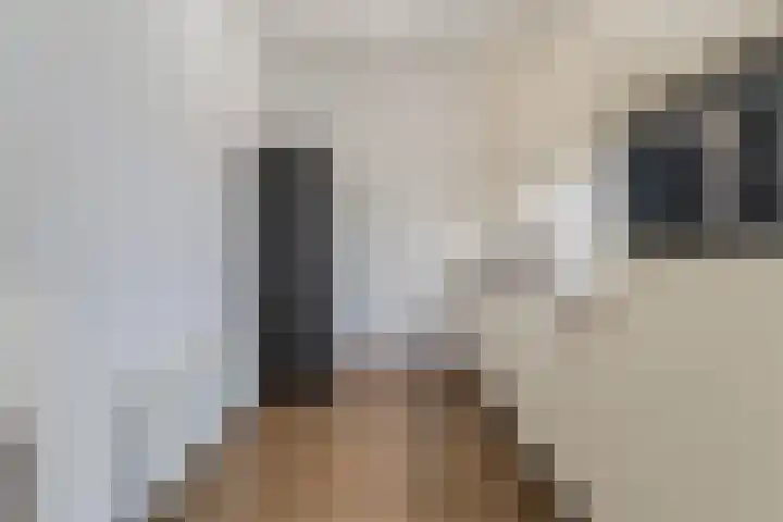 Gedempte Haven 43 Hardenberg thumbnail 30