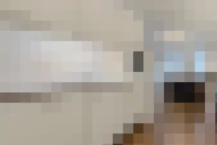 Gedempte Haven 43 Hardenberg thumbnail 31