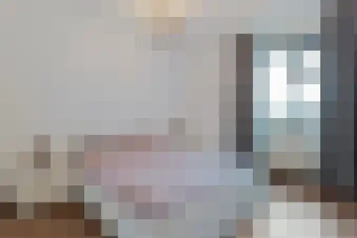 Gedempte Haven 43 Hardenberg thumbnail 33